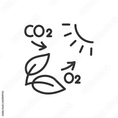 Plant and the process of absorbing carbon dioxide and releasing oxygen, linear icon. Photosynthesis. Line with editable stroke