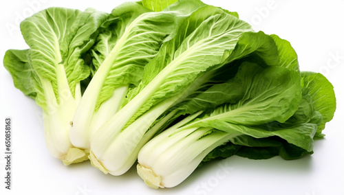 Fresh green vegetables ingredient food