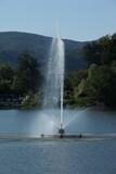 Fountain on the lake, greenery, clean water