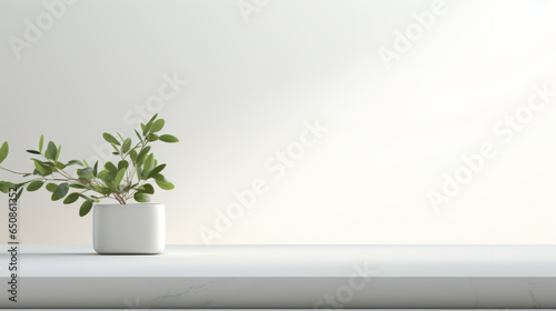A green potted plant on a clean white counter
