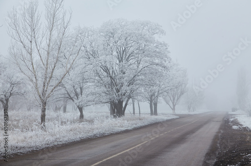 Winter morning with frosted trees, foggy atmosphere, and a disappearing asphalt road. © Ryzhkov Oleksandr
