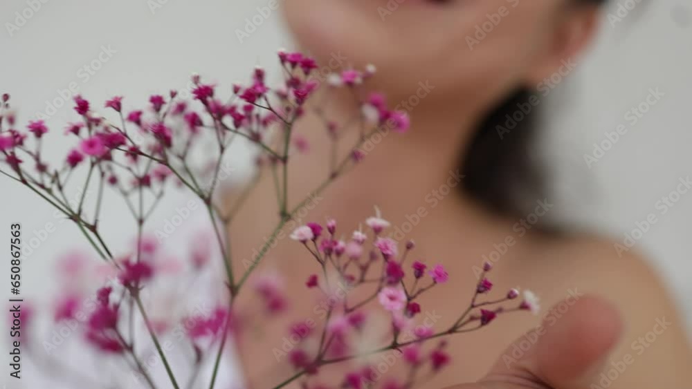 Pink flowers of gypsophila close-up in the woman hands. Spring, awakening of nature concept. Beauty and tenderness concept. Slow motion video. Pink flowers of gypsophila close-up in the woman hands. Spring, awakening of nature concept. Beauty and tenderness concept. Slow motion video.