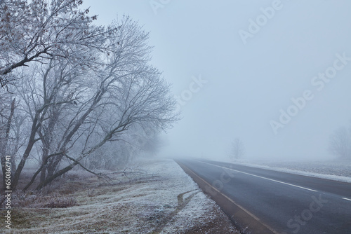 Winter morning with frosted trees, foggy atmosphere, and a disappearing asphalt road. © Ryzhkov Oleksandr