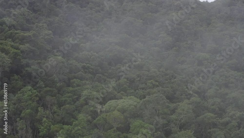 Flying above trees in mist in Tres Picos State Park, aerial view background of scenic nature in Rio de Janeiro, Brazil photo