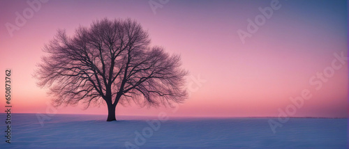 Winter wallpaper. A tree standing alone on a snowy field against a pink frosty sunset sky. Beautiful winter nature scene. 