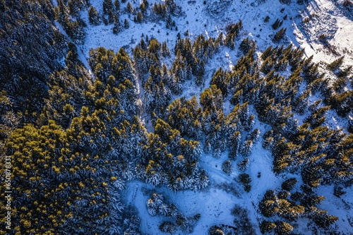 aerial view of a winter forest covered in snow from a mountain range