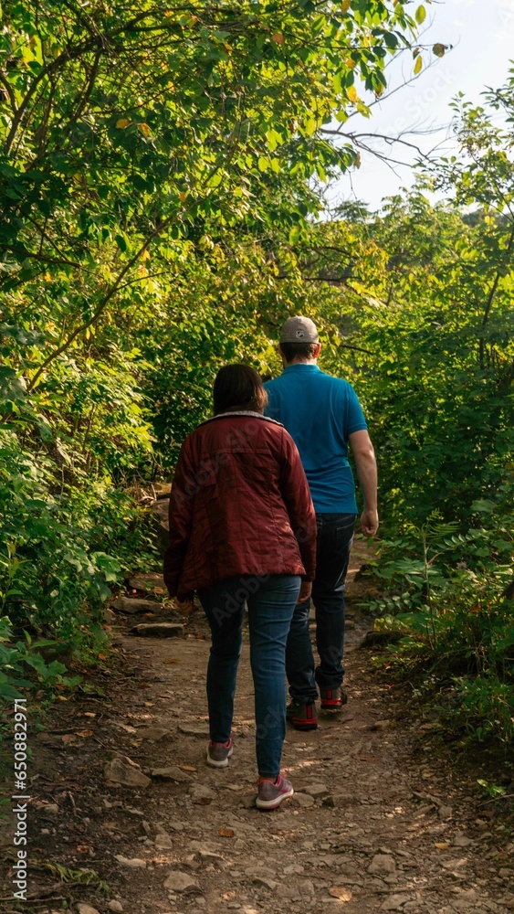 Elderly couple strolling through a forest together, illuminated by the vibrant morning sun Elderly couple strolling through a forest together, illuminated by the vibrant morning sun