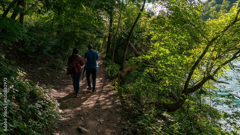 Elderly couple strolling through a forest together, illuminated by the vibrant morning sun Elderly couple strolling through a forest together, illuminated by the vibrant morning sun