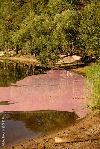 Sulfur bacteria in the Pilsen pond (The Czech Republic)