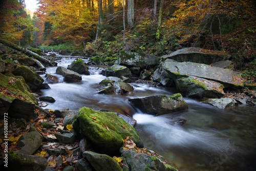Stream in Gorce mountains