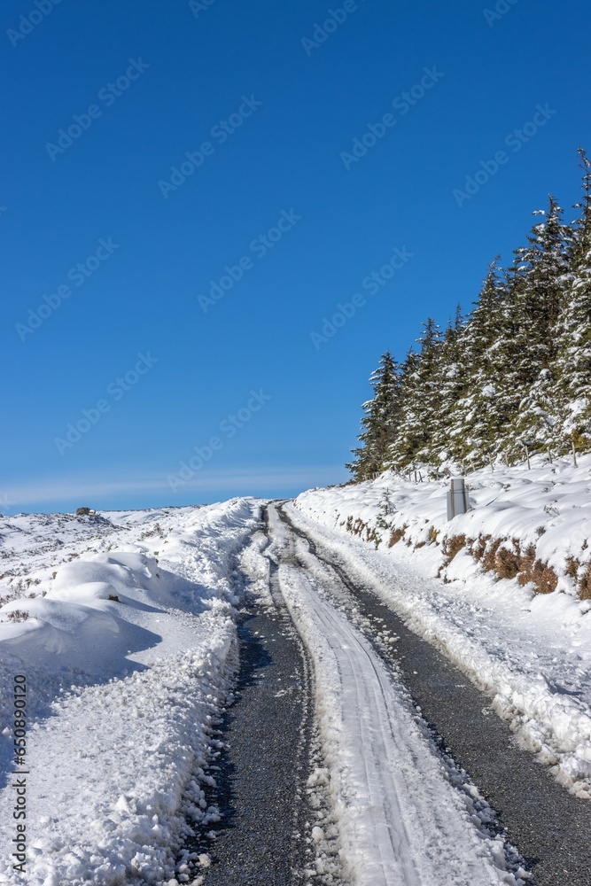 Beautiful scene showcases a scenic winter road winding around a rolling hill