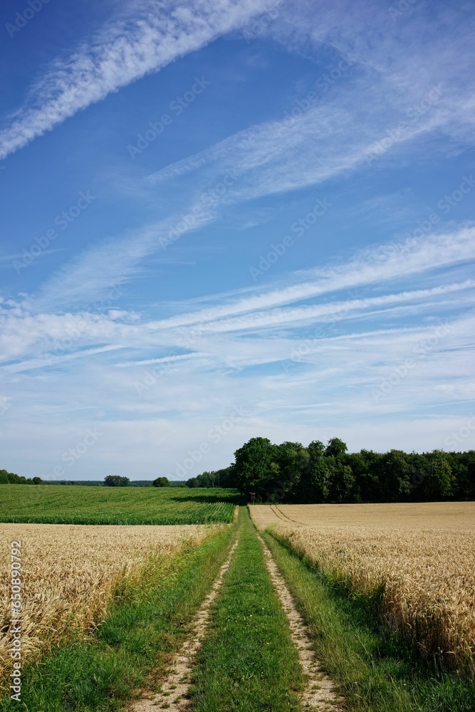 Scenic view of a road in a lush field in the countryside in Germany Scenic view of a road in a lush field in the countryside in Germany