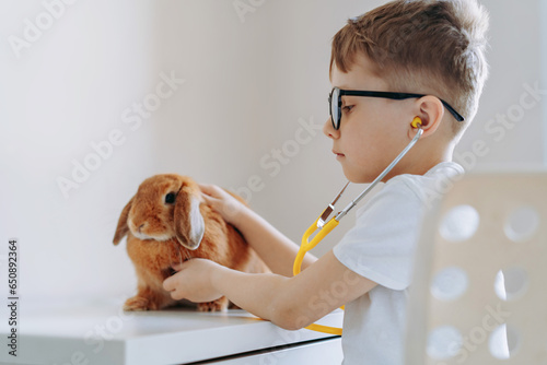 cute little boy playing vet stethoscoping a rabbit