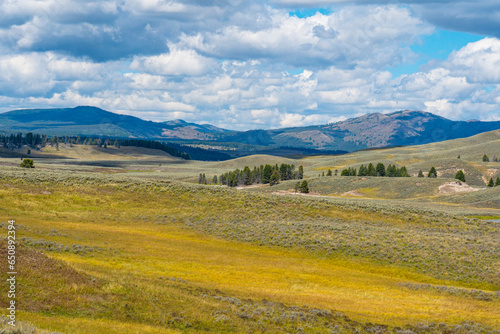 See Hayden Valley in Yellowstone National Park with yellow fields in September. Hills are rolling and white puffy clouds fill the blue sky.