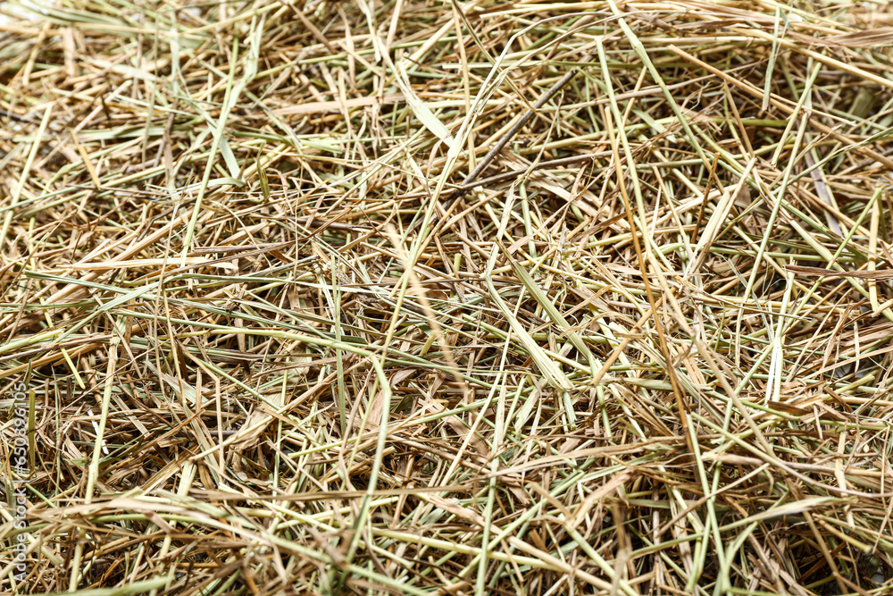 Heap of straw as background
