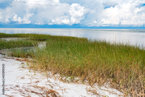 Fototapeta Naklejka Na Ścianę i Meble -  Sand dunes with grass on the Atlantic Ocean in North Carolina.