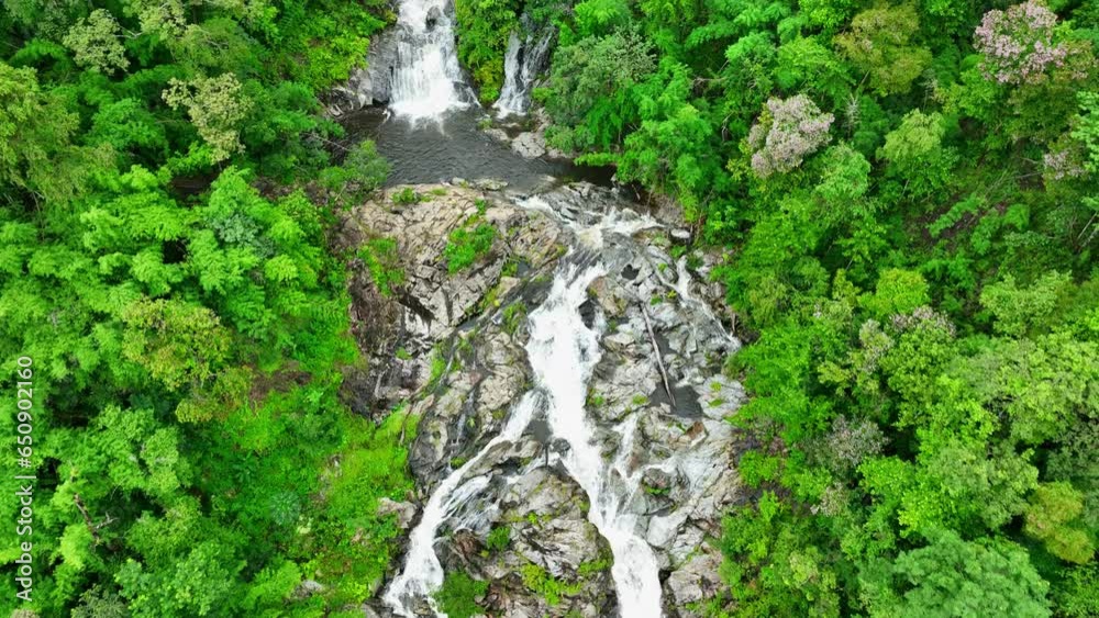 The waterfall in tropical rainforest, surrounded by lush greenery and vibrant flora. Towering trees and diverse plant species create a soothing atmosphere. (Khlong Nam Lai Waterfall, Thailand).
The waterfall in tropical rainforest, surrounded by lush greenery and vibrant flora. Towering trees and diverse plant species create a soothing atmosphere. (Khlong Nam Lai Waterfall, Thailand).