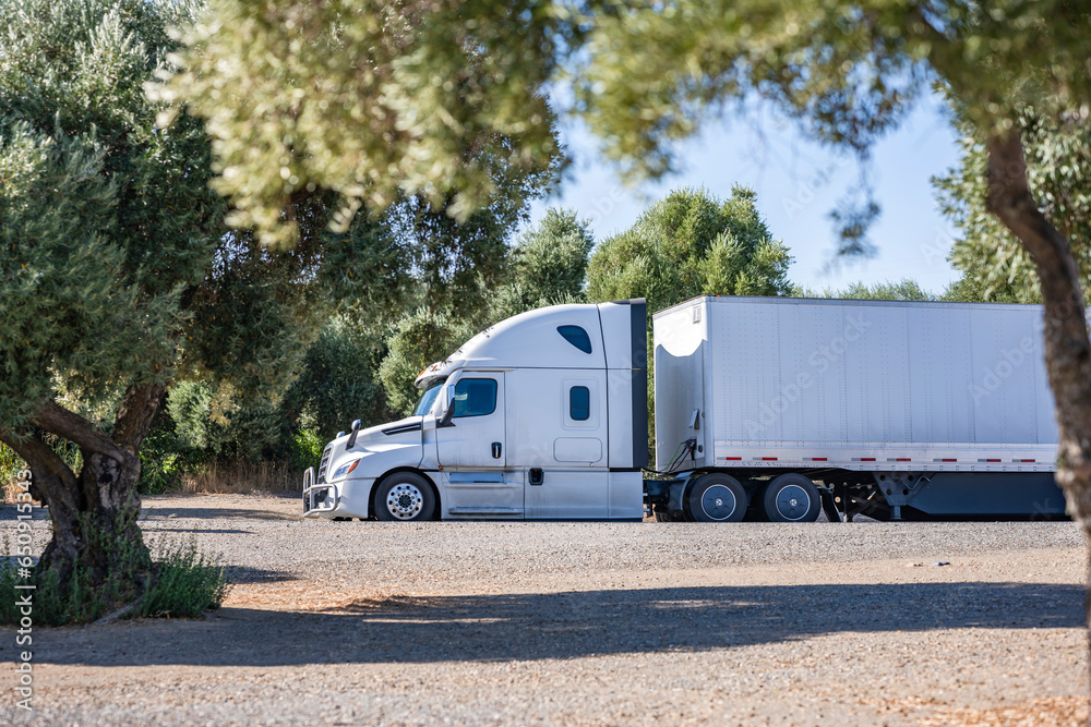 Long freight carrier big rig semi truck with dry van semi trailer standing on the green rest area take a break and truck driver resting Long freight carrier big rig semi truck with dry van semi trailer standing on the green rest area take a break and truck driver resting
