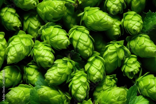 A closeup image focusing on a row of brightly colored hops, carefully arranged in exact measurements for use in the brewing process. The vibrant green hues and distinct shapes of the hops