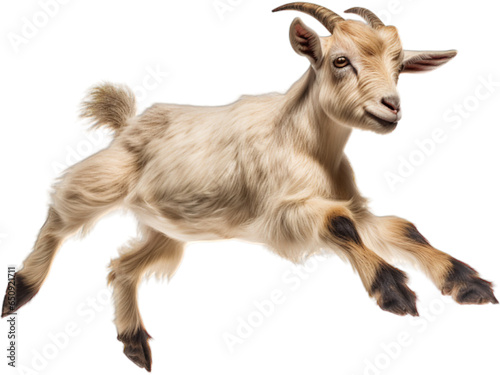 Playful Kid Goat Jumping, Transparent Background