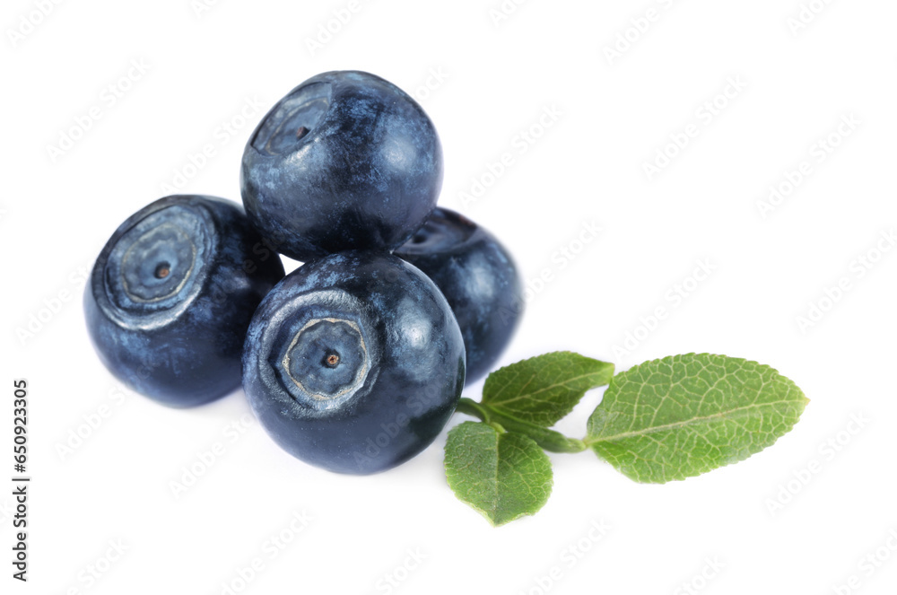 Delicious ripe bilberries and green leaves isolated on white