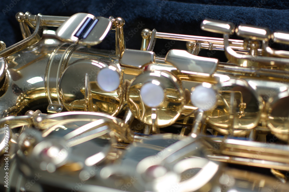 Fototapeta premium Saxophone