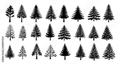 Set of fir tree silhouette. Christmas and New Year design elements, beautiful fir tree