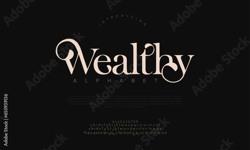 Wealthy premium luxury elegant alphabet letters and numbers. Elegant wedding typography classic serif font decorative vintage retro. Creative vector illustration photo