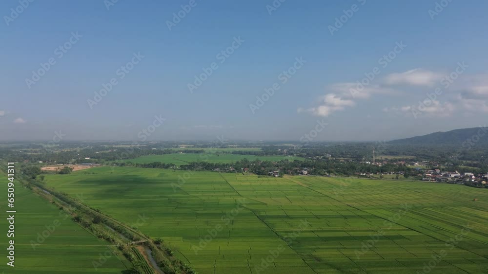 Aerial drone view of lush green rice fields and villages in Indonesia Aerial drone view of lush green rice fields and villages in Indonesia