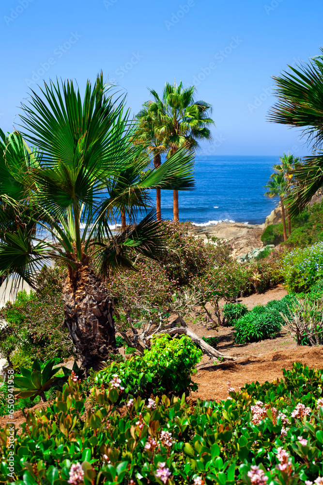 Tropical garden with palm trees and pacific ocean at Laguna Beach California