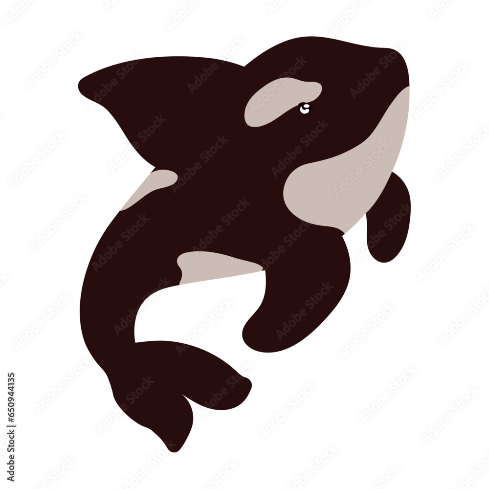 Obraz premium artic animal orca whale