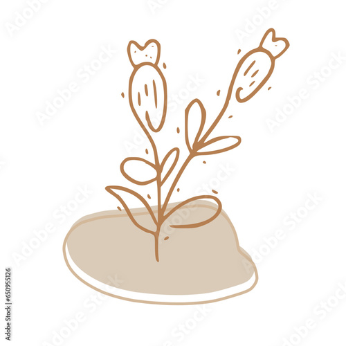 Minimalist Abstract Botanical Line Art Illustration in Earth Tones