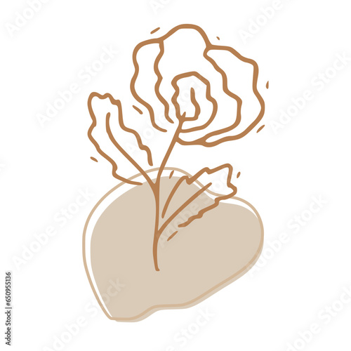 Minimalist Abstract Botanical Line Art Illustration in Earth Tones