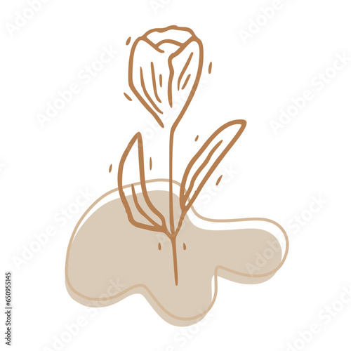 Minimalist Abstract Botanical Line Art Illustration in Earth Tones