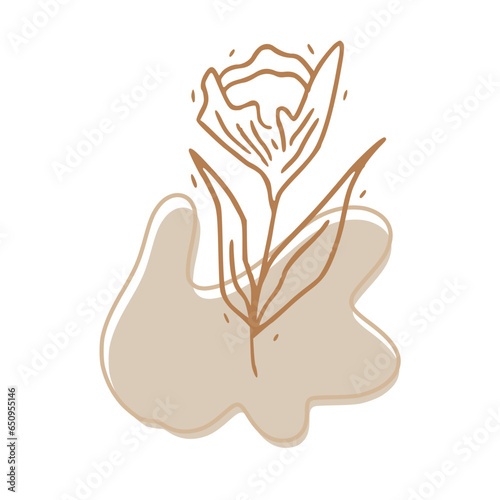 Minimalist Abstract Botanical Line Art Illustration in Earth Tones