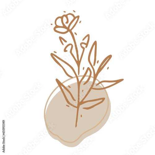 Minimalist Abstract Botanical Line Art Illustration in Earth Tones