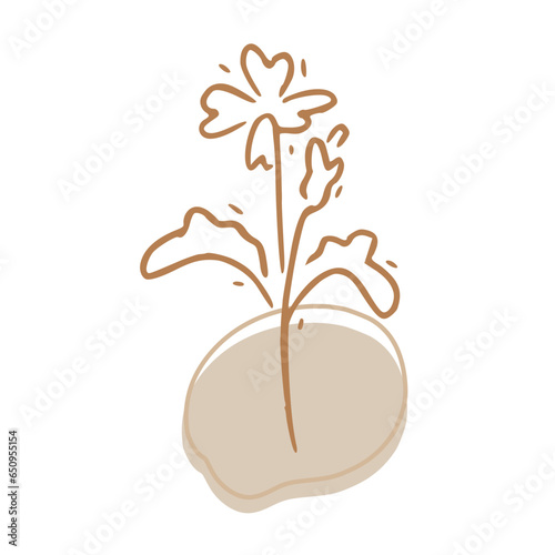 Minimalist Abstract Botanical Line Art Illustration in Earth Tones