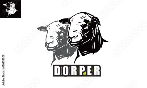 GREAT DORPER SHEEP HEAD LOGO, silhouette of sheep face vector illustrations. photo