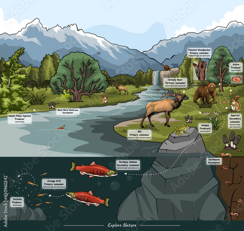 Alaska food web with their habitat