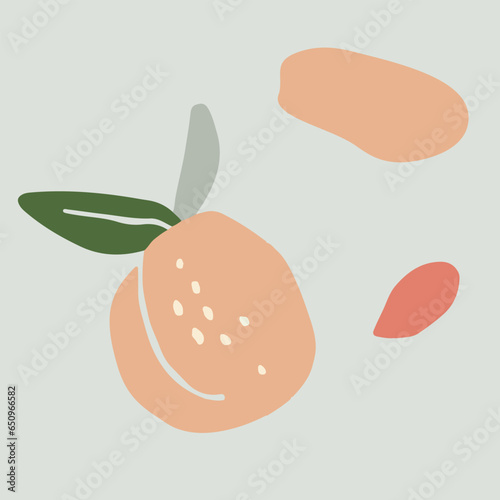 illustration of peaches
