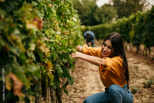 A proud Latina winemaker and her partner, working diligently together in their vineyard during the grape harvest.