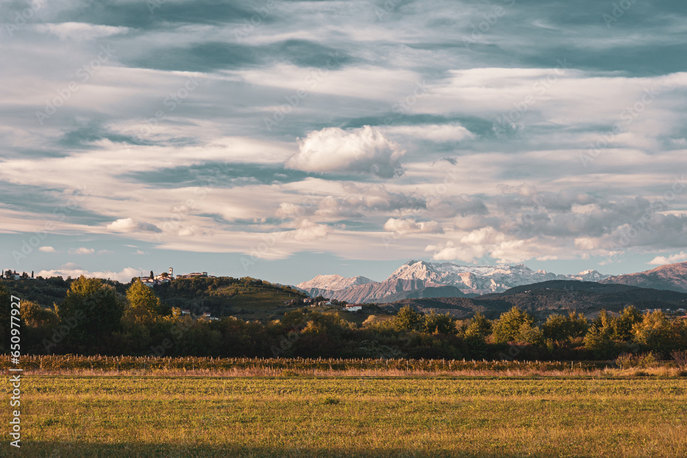 Colorful sunset in the vineyards at the border between Italy and Slovenia