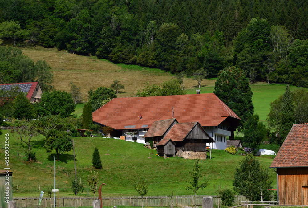 Historical Farm in the Black Forest, Gutach, Baden - Württemberg