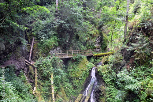 Waterfall in the Canyon Lotenbachklamm in the Black Forest, Baden - Württemberg