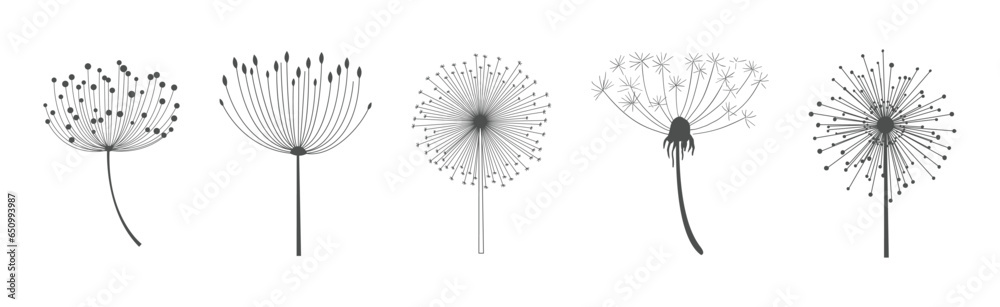 Dandelion Signs Black Thin Line Icon Vector Set - obrazy, fototapety, plakaty 