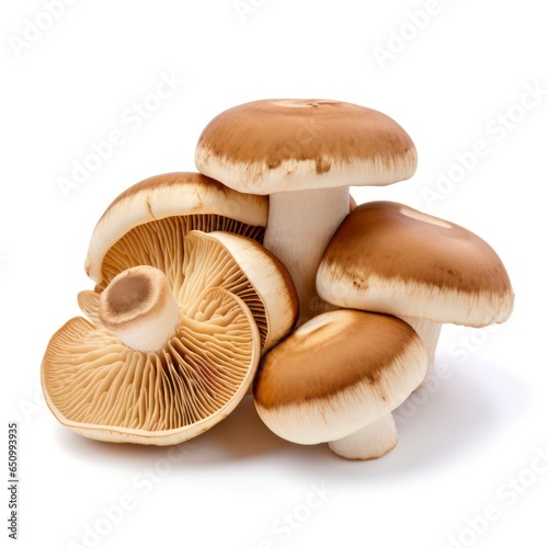 Porcini mushrooms isolated on a white background