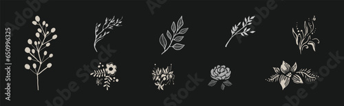 Blooming Flora with Flower Silhouette on Black Background Vector Set