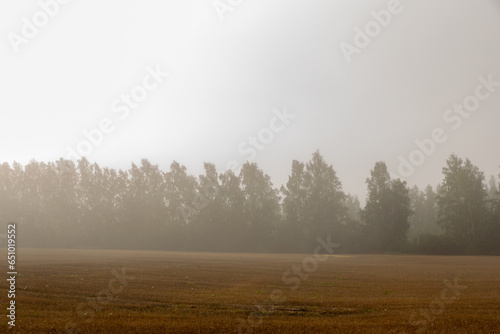 Fog in the morning on a highway in a rural area- vintage photography look