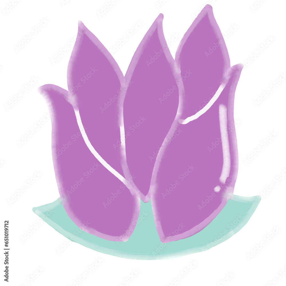 pink flower on white lotus pink flower on white lotus