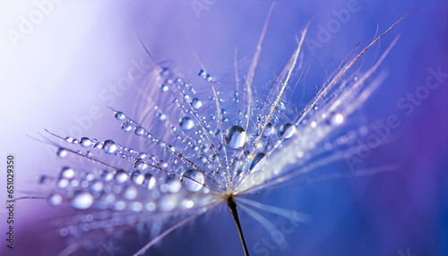 Beautiful dew drops on a dandelion seed macro. Beautiful soft light blue and violet background. Water drops on a parachutes dandelion on a beautiful blue. Soft dreamy tender artistic image form photo